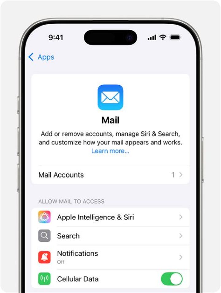 Can you download Apple Mail on Windows?