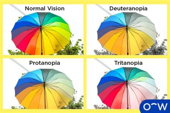 Do I have Protanomaly or Protanopia?