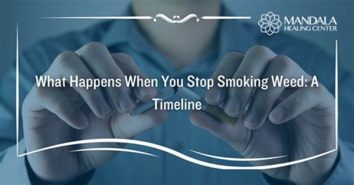 What happens when you stop taking Mirapex?
