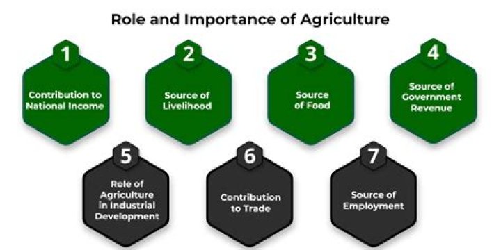 What is the role of non agricultural sub sector in rural development?