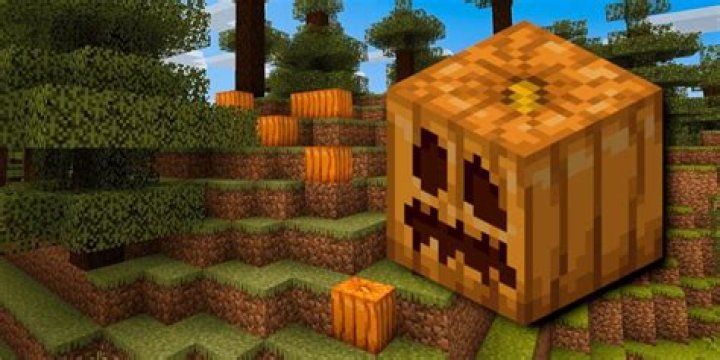 Where do you find pumpkins in Minecraft Xbox 360?