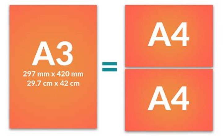 Which printer can scan A3 size?